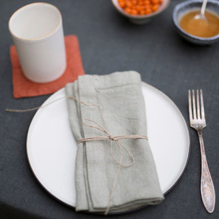 Sage Linen Napkins Set of 2 4