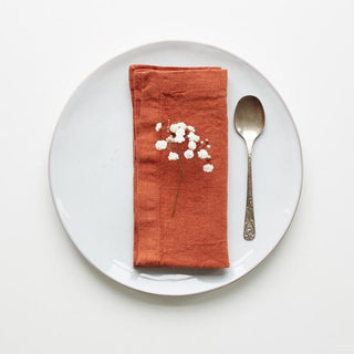 Set of 2 Baked Clay Washed Linen Napkins 