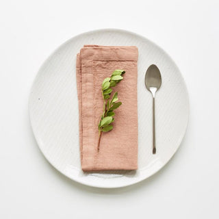 Cafe Creme Linen Napkins Set of 2 - Linen Tales 